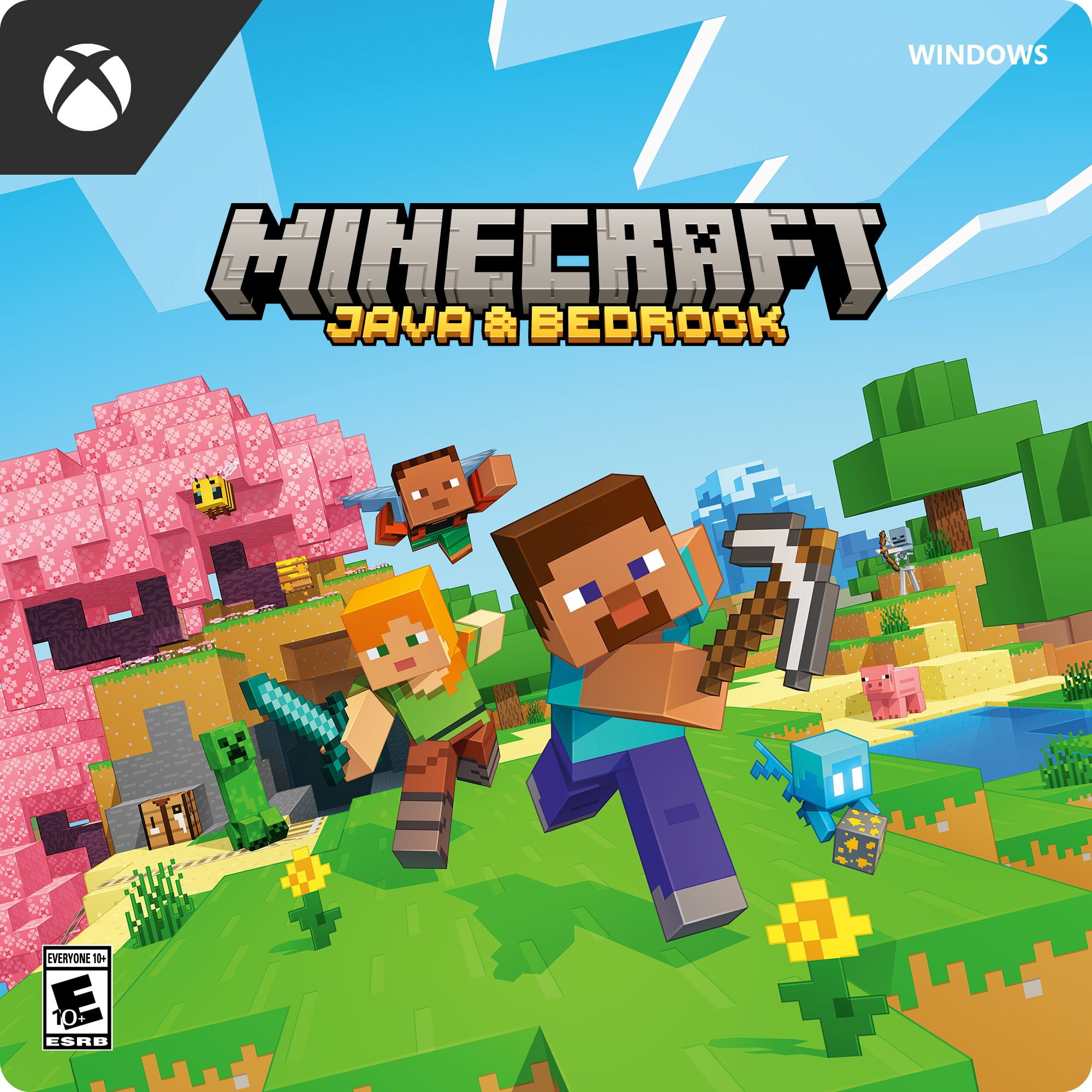 Minecraft Java & Bedrock Edition